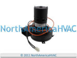 York S1-326-29600-000 Furnace Inducer Motor - Image 4